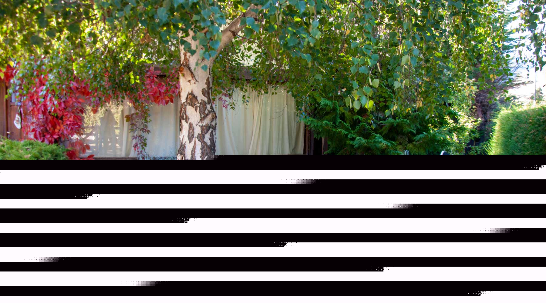 Cabañas Las Lumas-Esquel